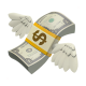 money-with-wings